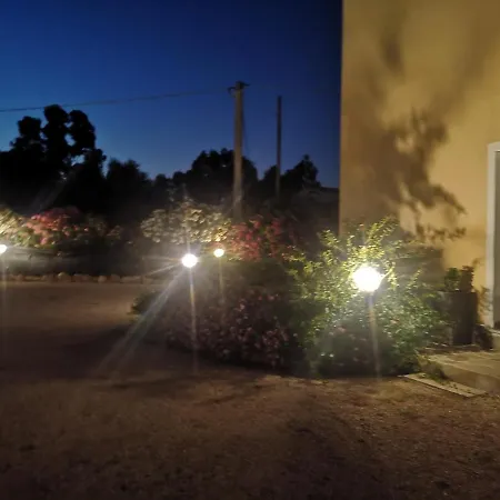 فيلة Rosas ألغيرو